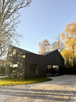 Whout Workshop